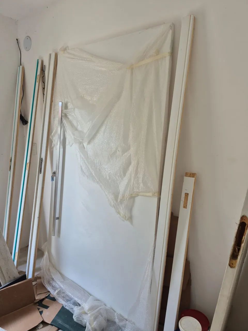 Full Pivot Door (READ THE LISTING)444717987917342721