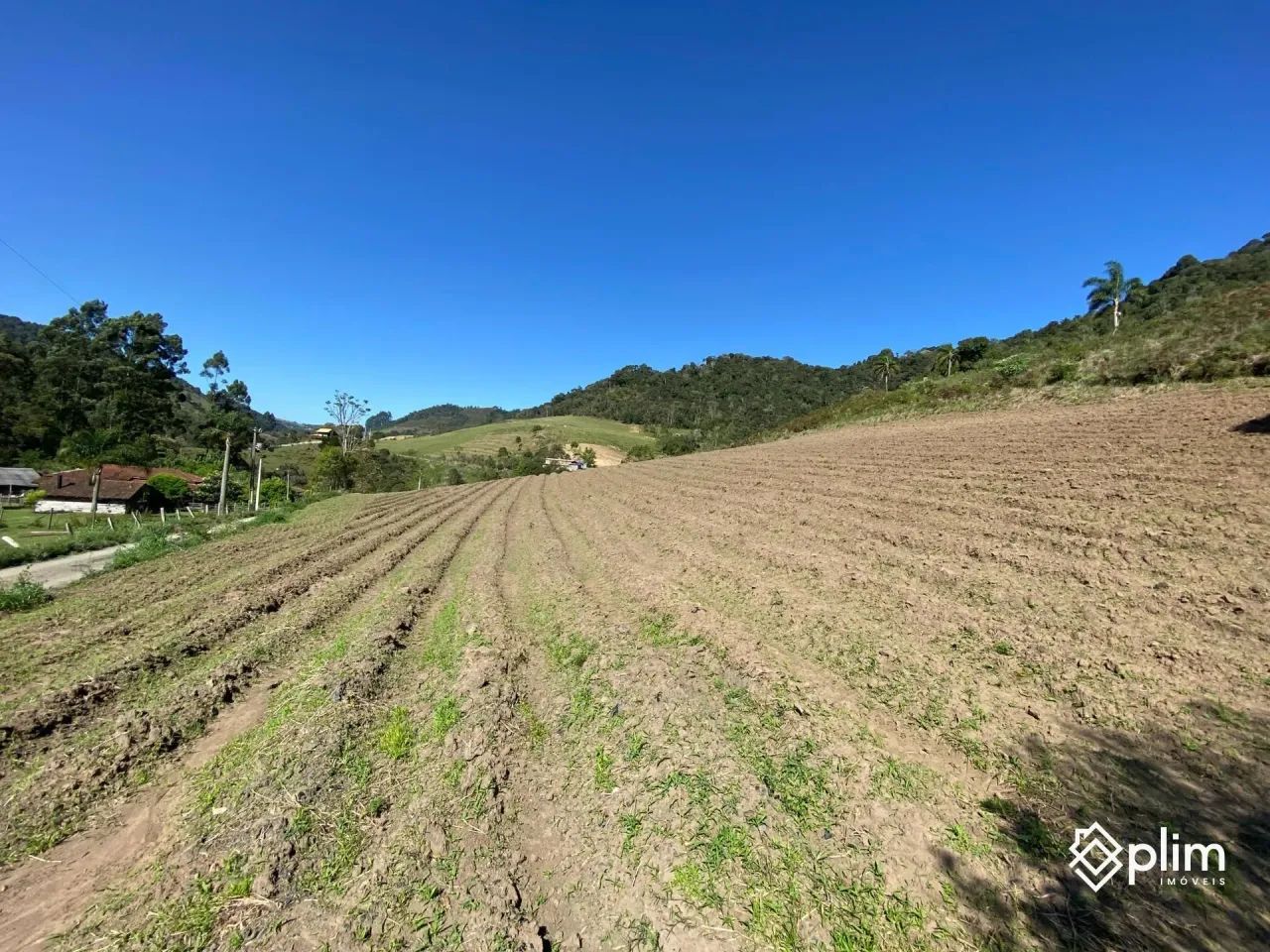 OPORTUNIDADE: Sítio com 40.000m² em Alfredo Wagner - Serra Catarinense - Foto 4