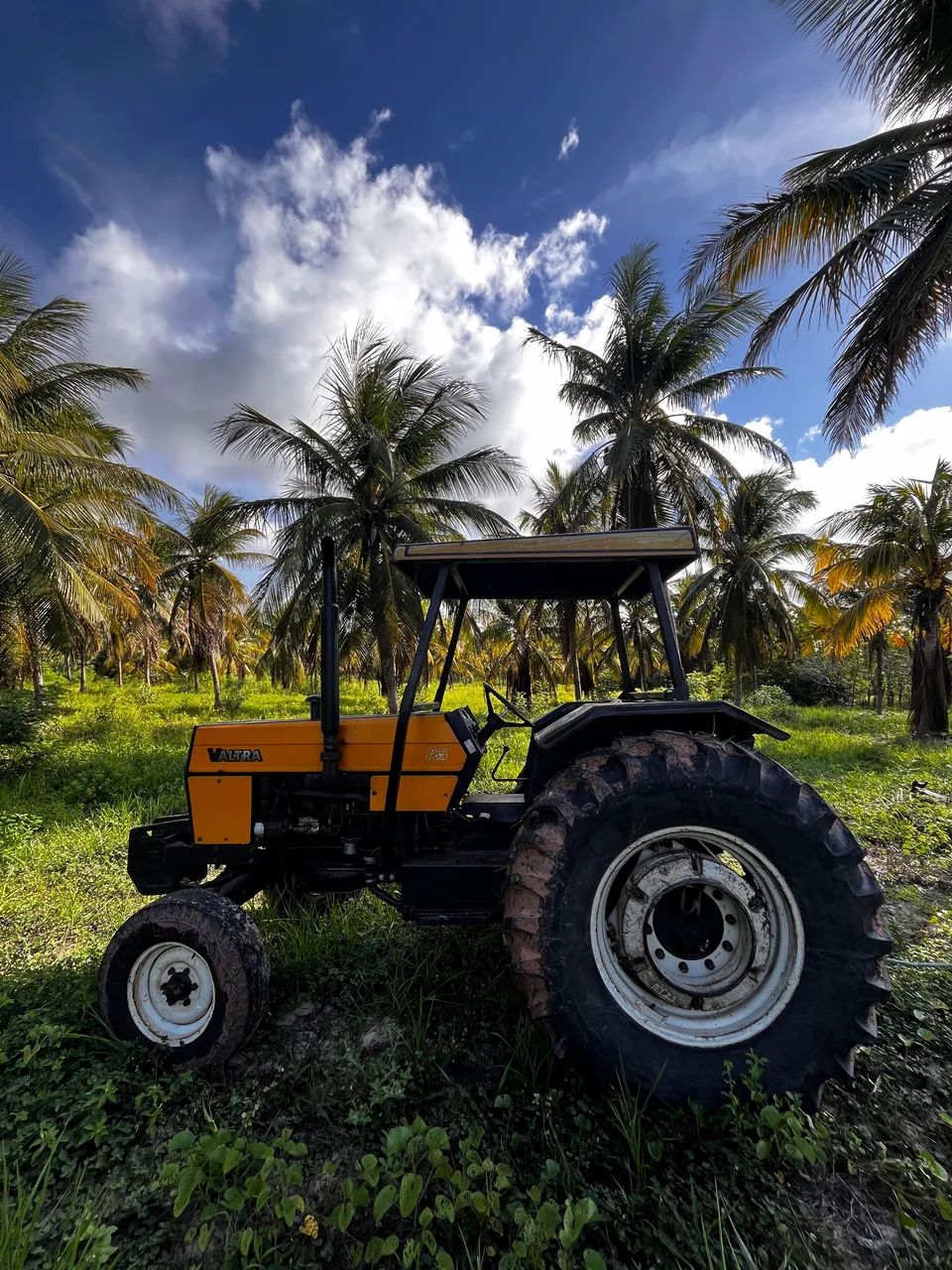 Trator valtra 785 com implementos - Foto 3