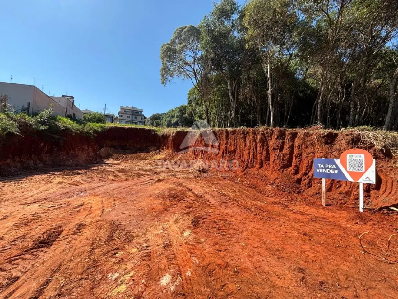 Terreno Padrão em Ponta Grossa