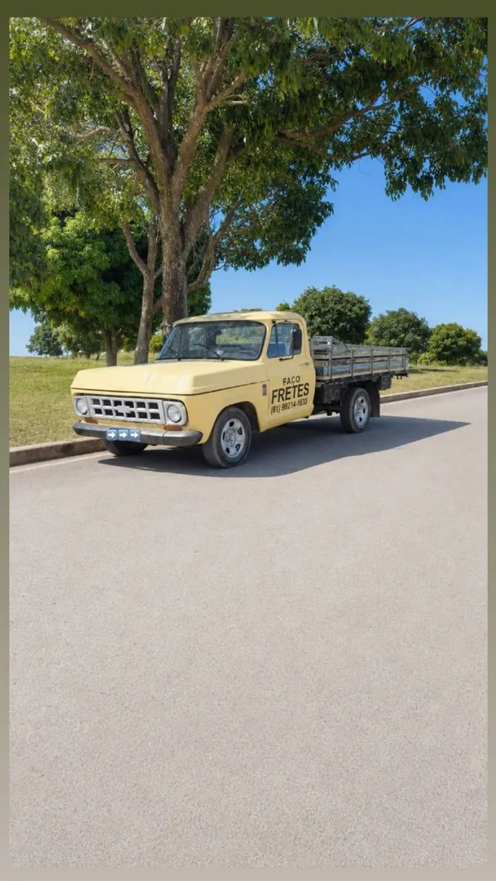 Chevrolet D-10 Diesel 1984