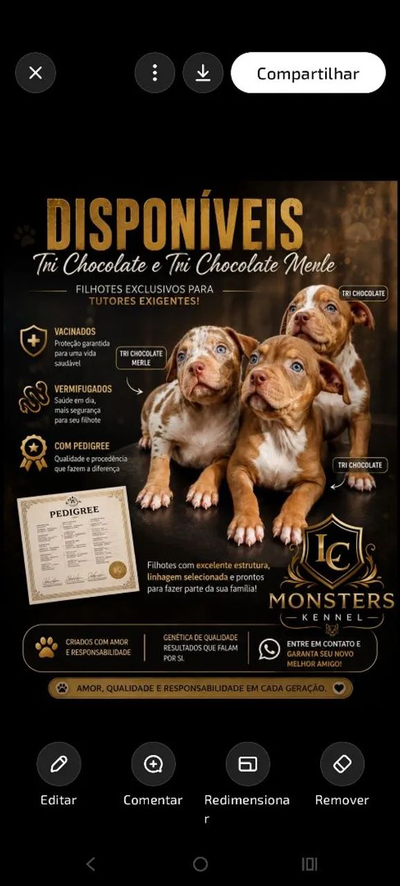 Filhotes de Monsters 