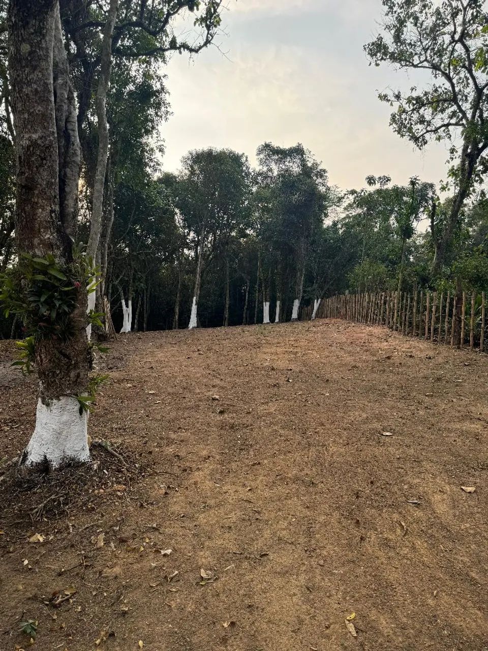 Excelente Terreno em Suzano 1700mts - Foto 3