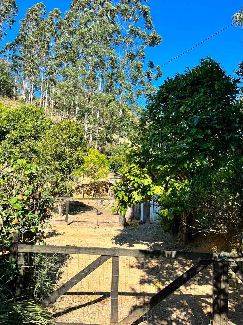 VENDO LINDO SÍTIO - Foto 4