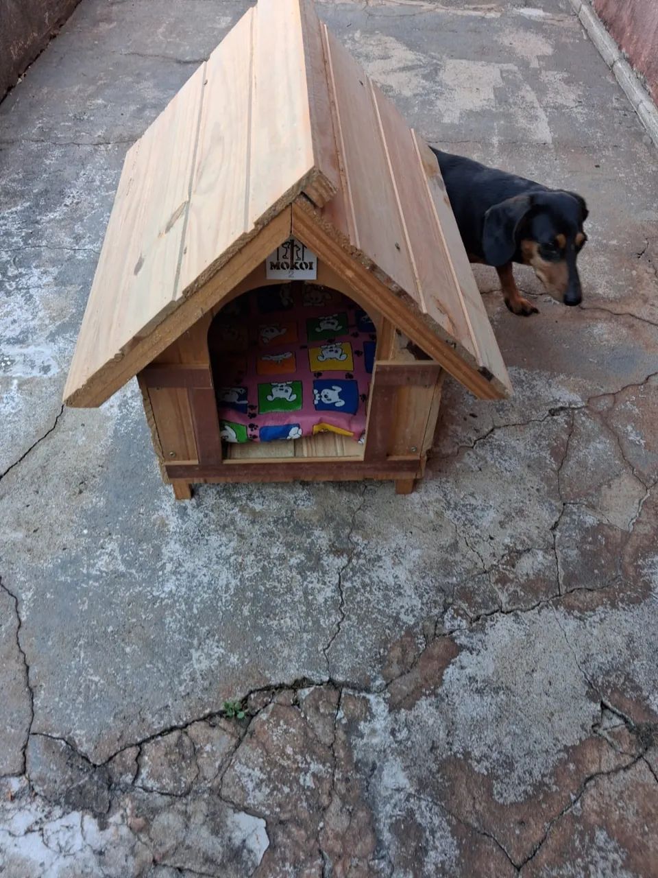 Casinha de cachorro Mokoi