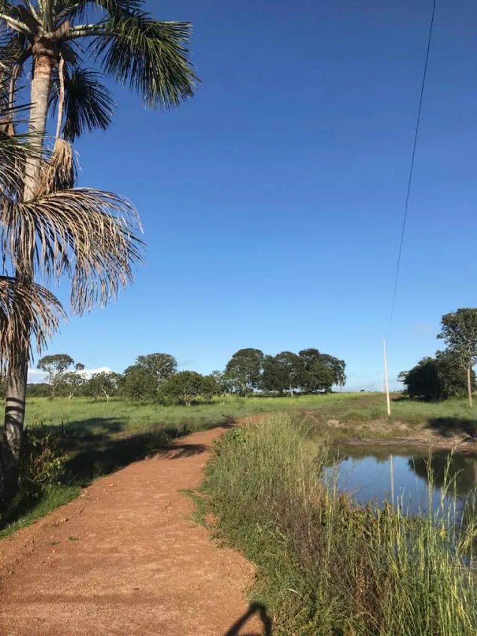 Vende-se Fazenda no Município Peixe, Tocantins - Foto 2
