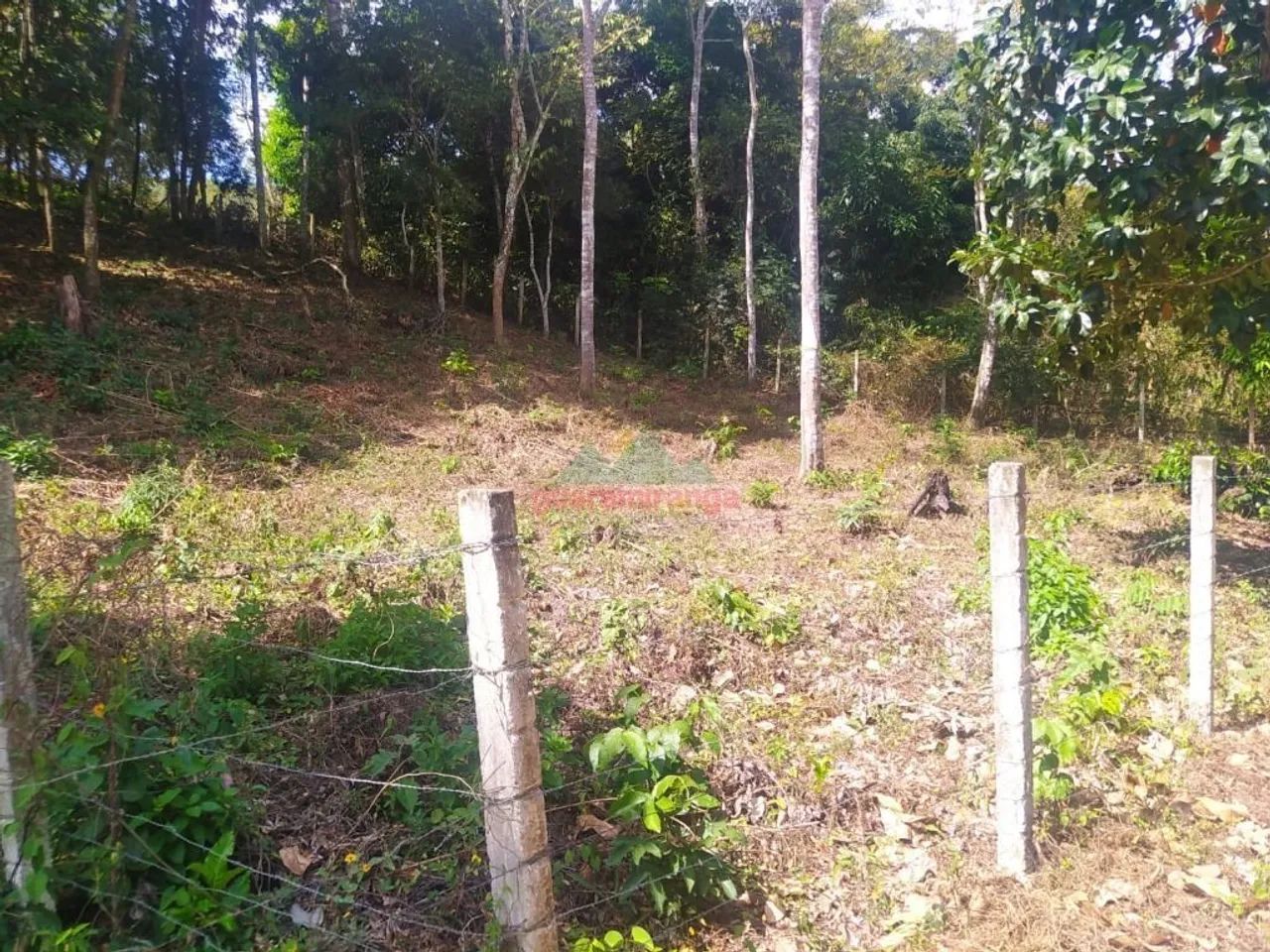 Gleba com 420,00 m² a 8,5 km do Centro de Guaramiranga/CE. - Foto 3