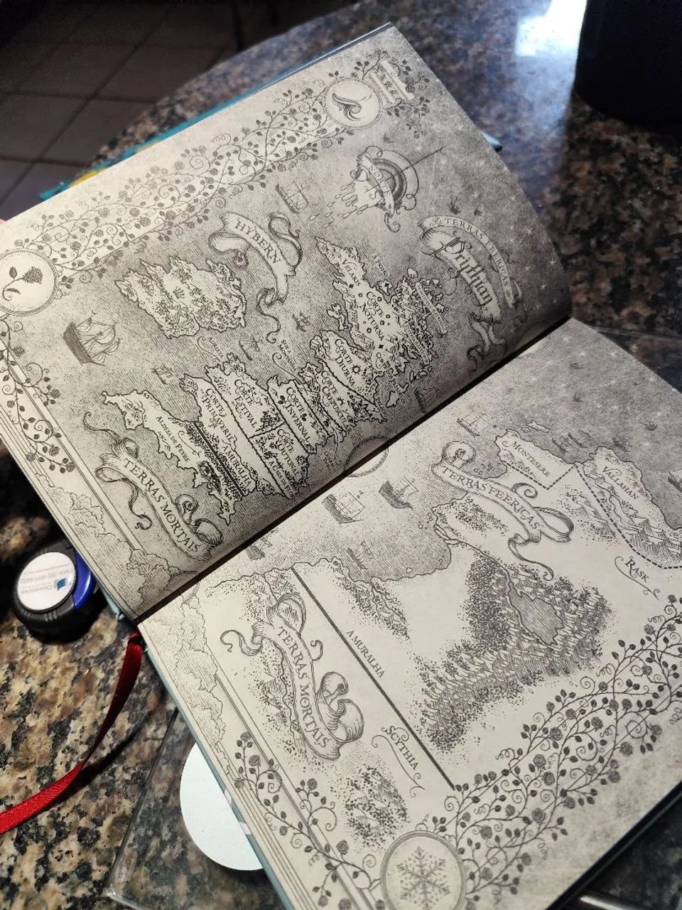 Livro  - Foto 3