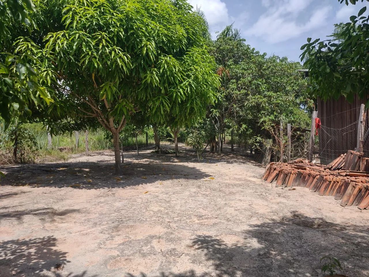 Sítio a venda - Vila Novo Planalto - Foto 4