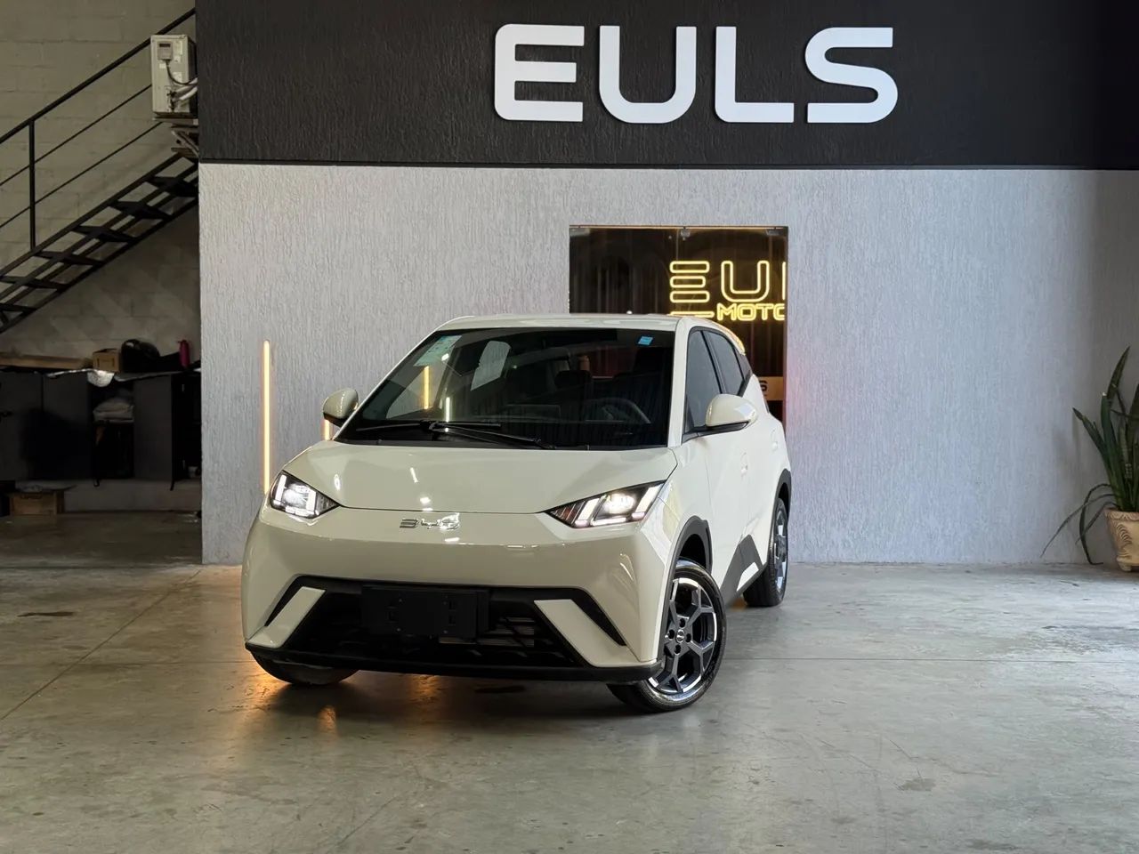 BYD Dolphin EV (Elétrico) 2027 - Foto 2