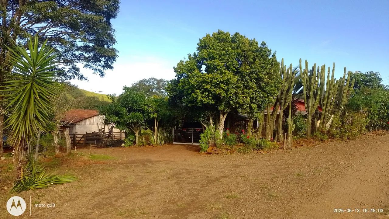 Vendo sítio 7,5 alqueires  - Foto 4