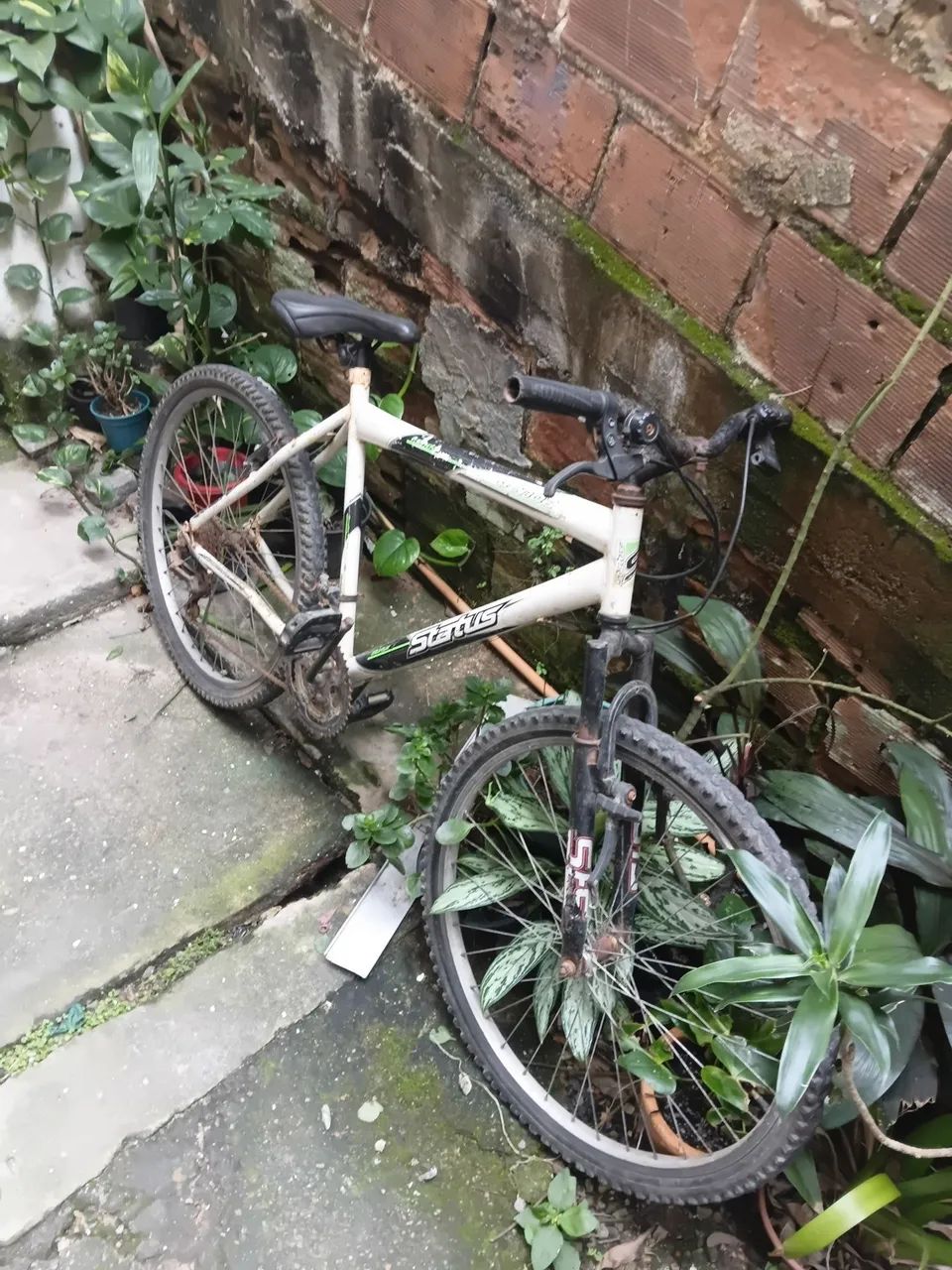 Bicicleta status lenda  - Foto 2