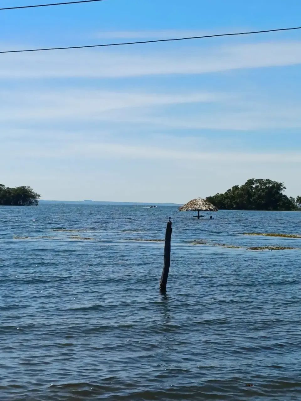 CASA À VENDA codigo: 382452 - Foto 3