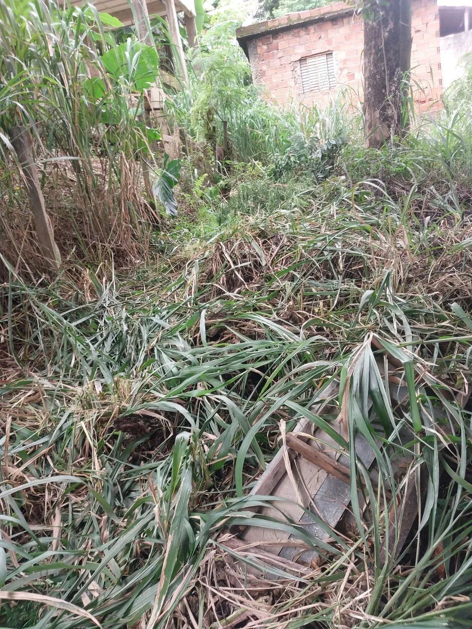 Lote a venda na balança  - Foto 4