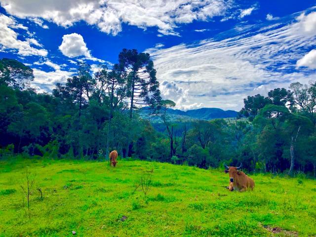 Chácara com cachoeira em Urubici - Foto 3
