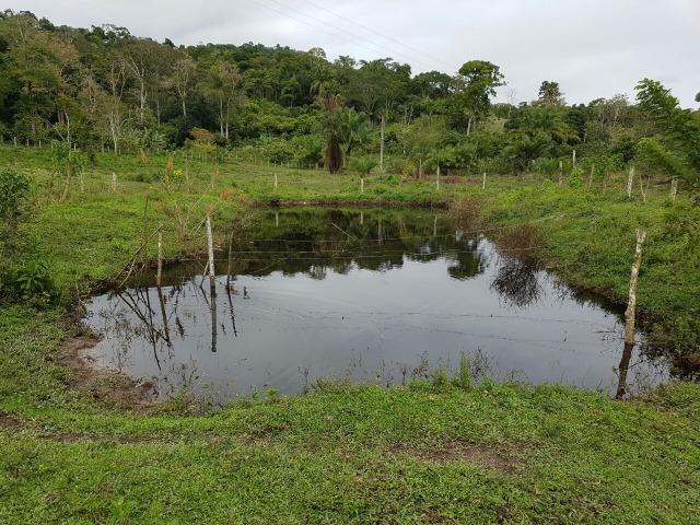 FZ 037- Fazenda Próximo a Ipiaú ? BA com 30 hectares. - Foto 8