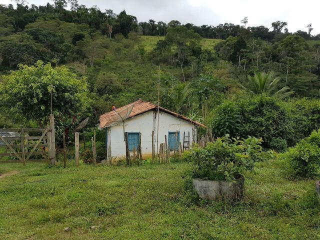 FZ 037- Fazenda Próximo a Ipiaú ? BA com 30 hectares. - Foto 12