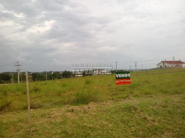 Terreno à venda em Tomazetti, Santa maria cod:10806 - Foto 2