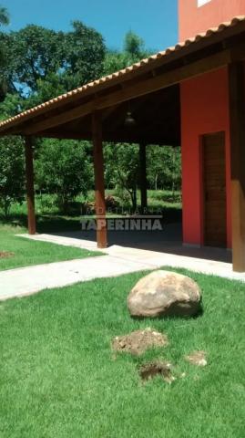 Terreno à venda em Tomazetti, Santa maria cod:10806 - Foto 6