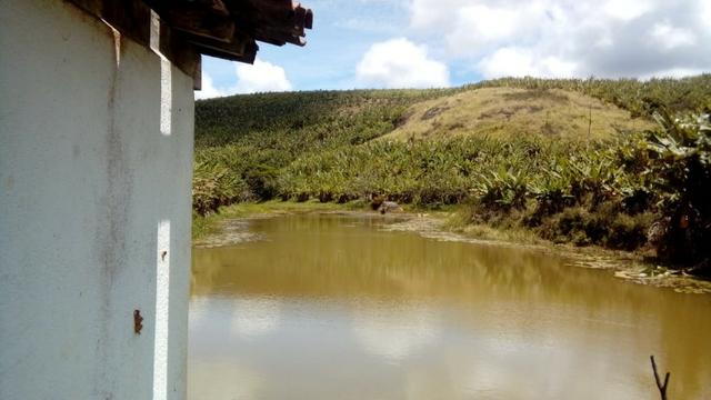 Propriedade de 37 hectares, com 20 hectares de plantio de banana, em Amaraji-PE! - Foto 4