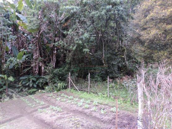 Área rural à venda, Prata dos Aredes, Teresópolis - AR0006. - Foto 11