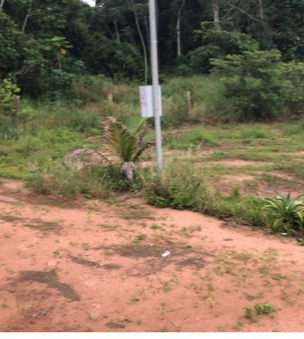 Chácara de 10.000 m2,Nova Mutum-MT, Troco imóveis em Tangará - Foto 3