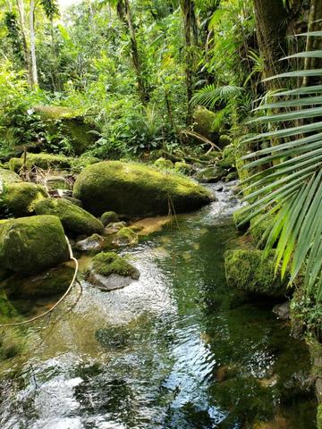 Venda- Sitío com Casa (Matinhos/Paranaguá) - Foto 4