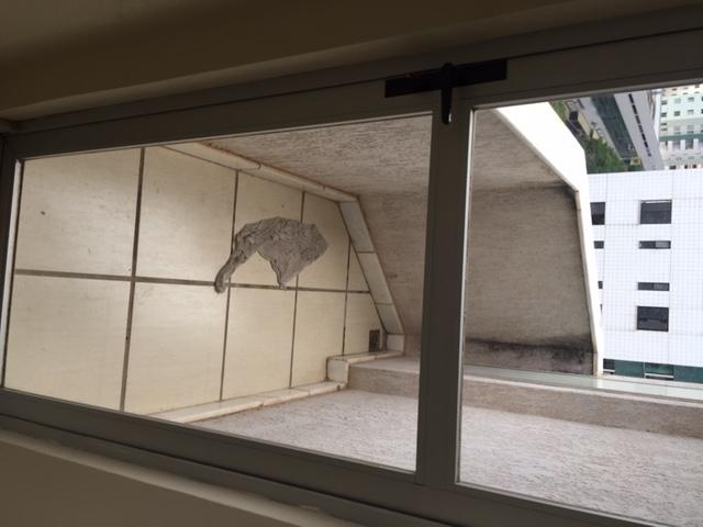 Apartamento para alugar com 1 dormitórios em Buritis, Belo horizonte cod:1490 - Foto 5