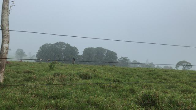 Sítio 8km da cidade em cacoal - Foto 7