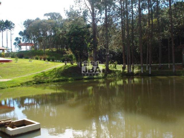 Chácara à venda em Miringuava, São josé dos pinhais cod:12972.001 - Foto 5