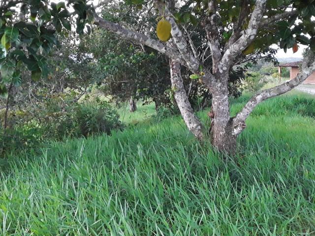 Chácara em Gravatá com 9 hectares, casa sede, 6 suítes, piscina com apoio, vista da BR-232 - Foto 18