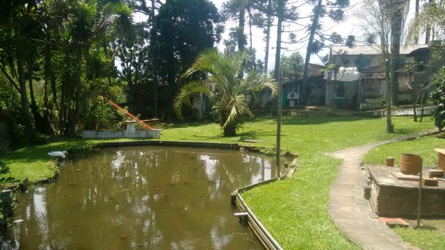 Chácara em São Jose dos pinhais - Foto 2