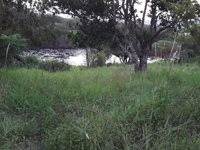 Chácara em Gravatá com 9 hectares, casa sede, 6 suítes, piscina com apoio, vista da BR-232 - Foto 15