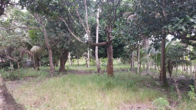Sitio em Comandatuba - Foto 8