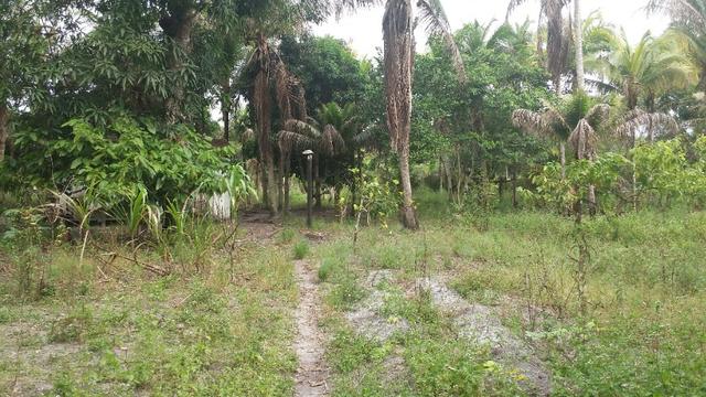 Sitio em Comandatuba - Foto 2