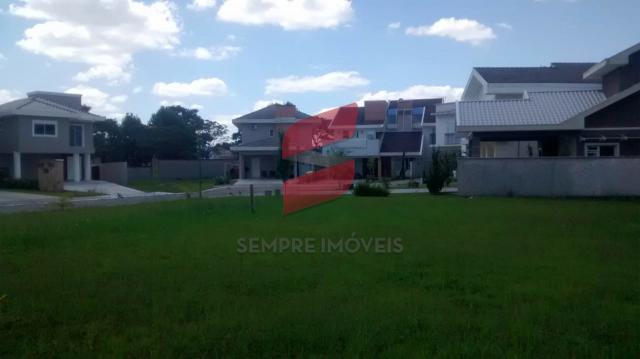 Terreno à venda em Pineville, Pinhais cod:10122-001 - Foto 7