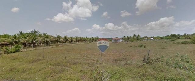 Terreno à venda, 3600 m² por r$ 960.000 - zona rural - nísia floresta/rn