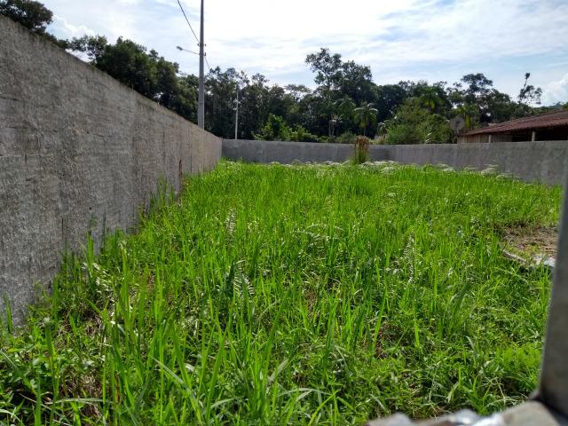 Lote na Vila das Palmeiras/Morretes (Cód 175) - Foto 8