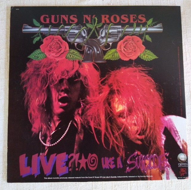 LP Disco de Vinil Guns N'Roses