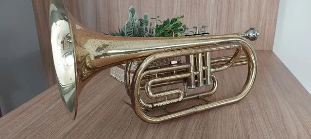 Trombonito BM Sib - Oportunidade  - Foto 2