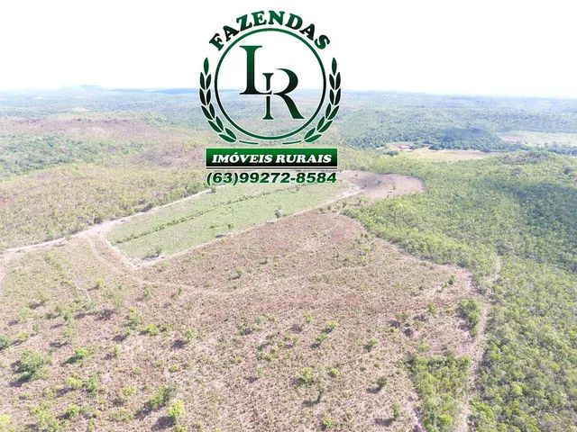 Fazenda Oportunidade 127 Alqueires Próximo a Palmas  - Foto 4