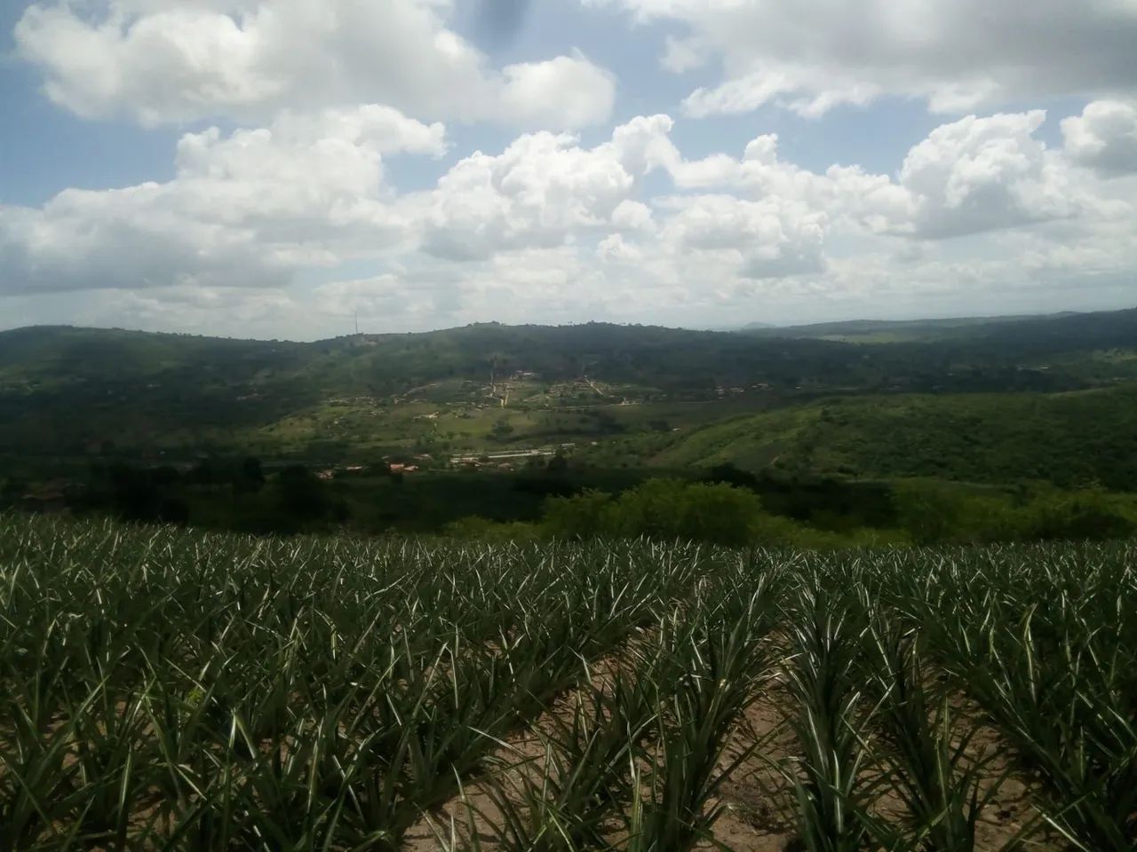 foto - Gravatá - Bairro Novo