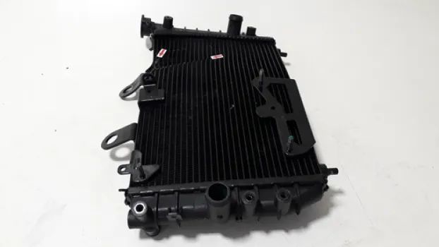 Radiador Harley Davidson Sportster S 22/23 P/recuperar 45092 - Foto 6