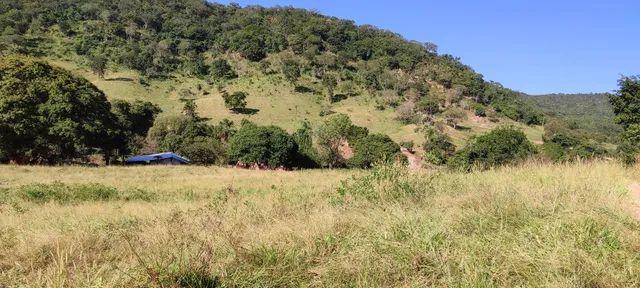 Fazenda em Pontalina  - Foto 4