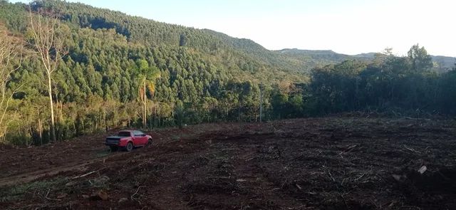 Chácara 31 hectares 450,000,00 avista com arroio  - Foto 4