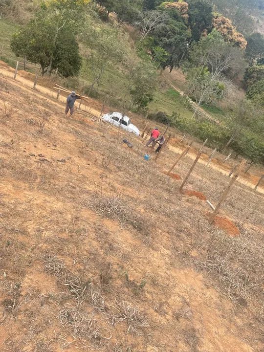 Terreno para chácara!  - Foto 5