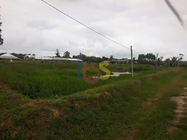 Vendo Fazenda Vida Nova - Foto 2