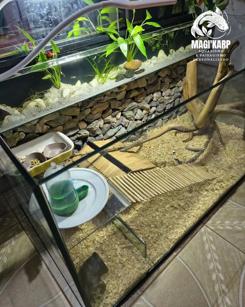 Terrário/Aquário 2 em 1 - Foto 3