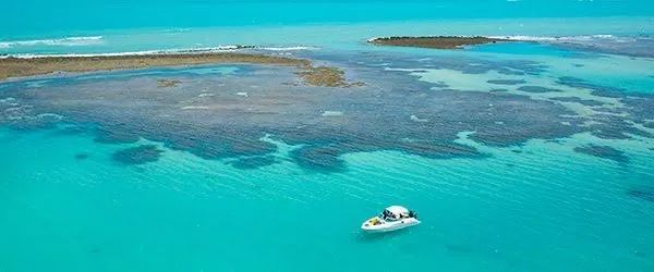 Alugo Casa Grande e Ventilada por Temporada