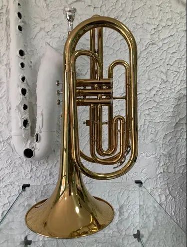 Trombonito BM  - Foto 3